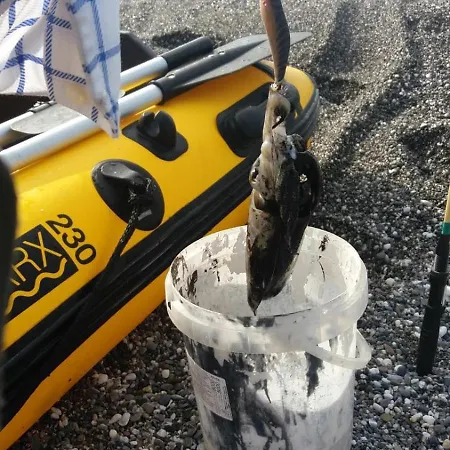 Bed & Breakfast Levante Scalea