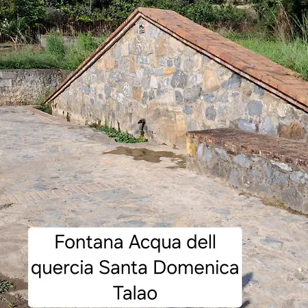 Bed & Breakfast Levante Scalea