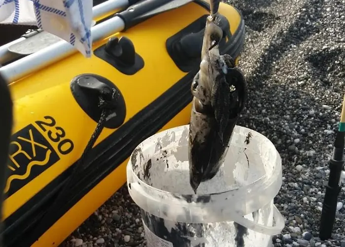 Alojamento de Acomodação e Pequeno-almoço Levante Scalea